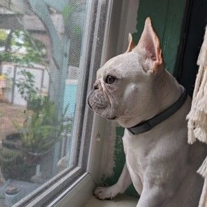 Meet your Posher, Tanya